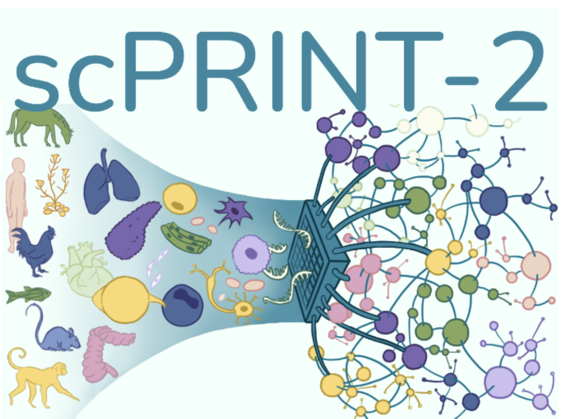 scPRINT-2